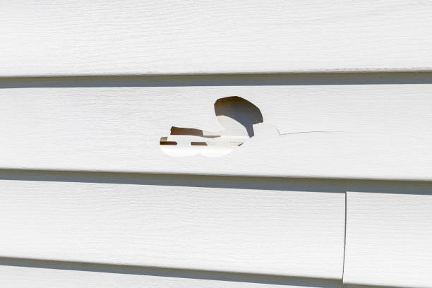 Best Construction Debris Removal  in Roosevelt Gardens, FL